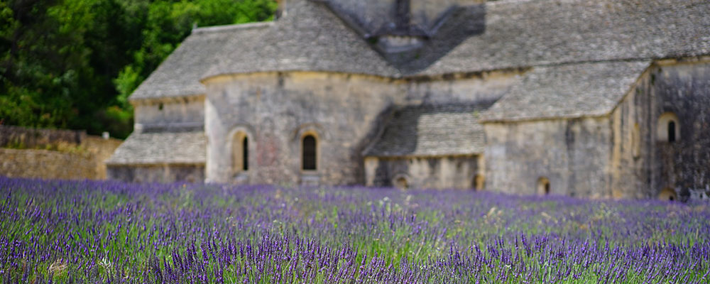 Musée Provence