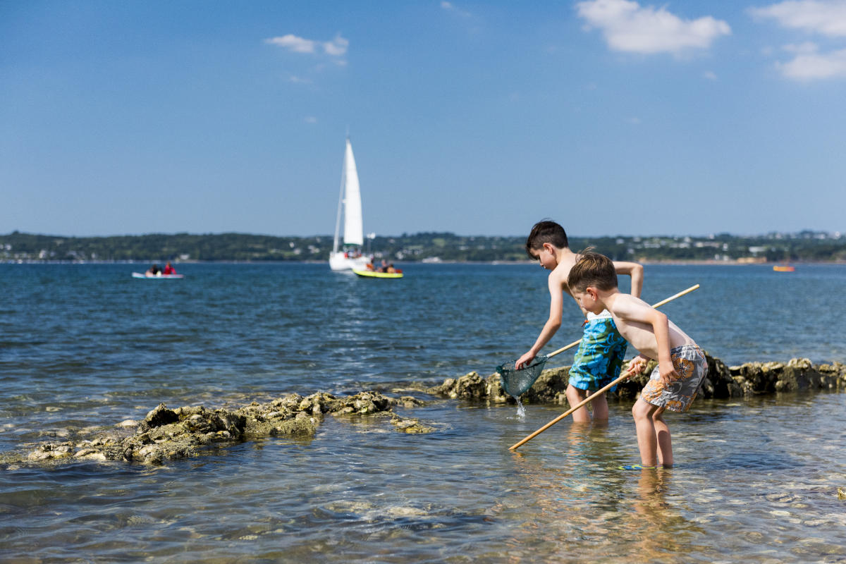 Pêche au crabes  dans les flaques sous les goémons