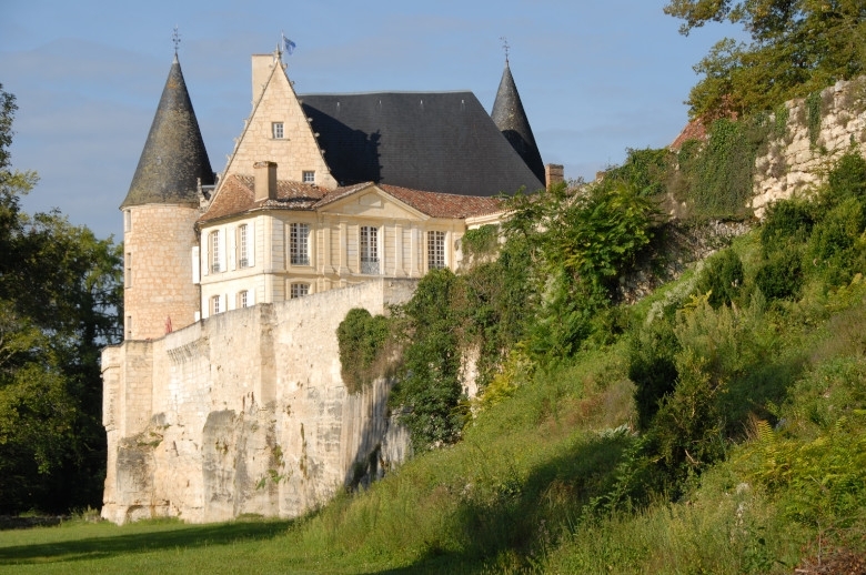 Chateau Heart of Dordogne - Luxury villa rental - Dordogne and South West France - ChicVillas - 3