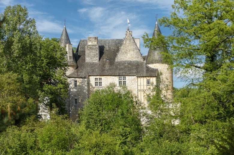 Chateau Heart of Dordogne - Luxury villa rental - Dordogne and South West France - ChicVillas - 33