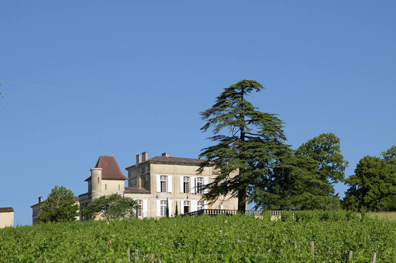 Chateau Luxury Heritage - Luxury villa rental - Aquitaine and Basque Country - ChicVillas - 1