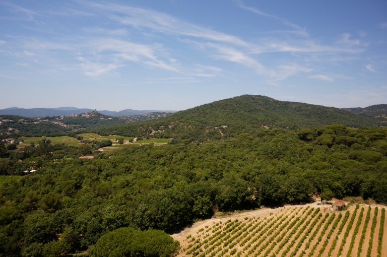 Entre Plage et Village Cote d Azur - Luxury villa rental - Provence and the Cote d Azur - ChicVillas - 3