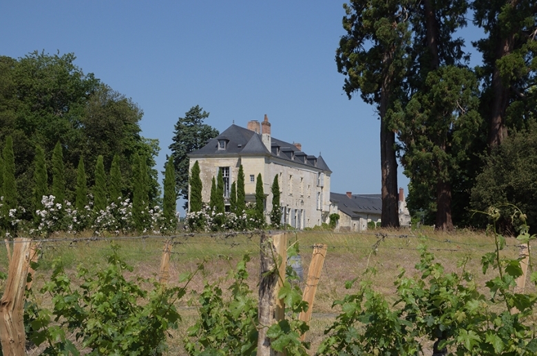 Loire Valley Green Chateau - Location villa de luxe - Vallee de la Loire - ChicVillas - 14