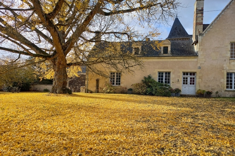 My Loire Cottage - Luxury villa rental - Loire Valley - ChicVillas - 17