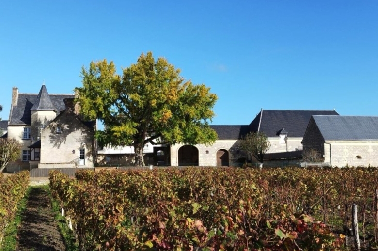 My Loire Cottage - Location villa de luxe - Vallee de la Loire - ChicVillas - 27