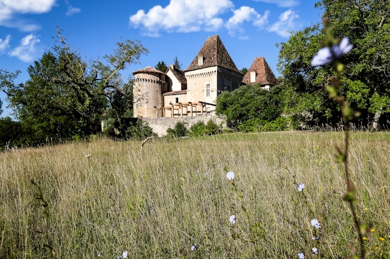 Pearl of Dordogne - Location villa de luxe - Dordogne / Garonne / Gers - ChicVillas - 10