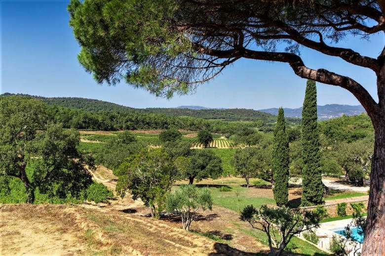Saint-Tropez Luxury Hills - Location villa de luxe - Provence / Cote d Azur / Mediterran. - ChicVillas - 26