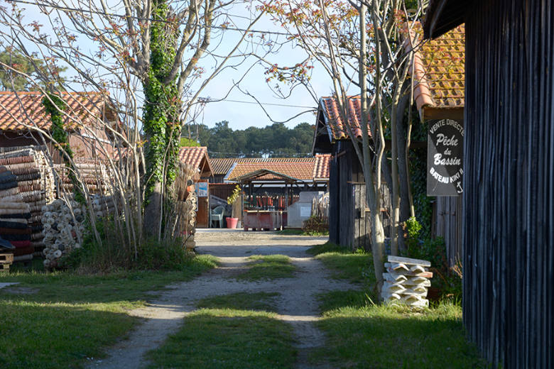 Sweet Little Cap-Ferret - Location villa de luxe - Aquitaine / Pays Basque - ChicVillas - 16
