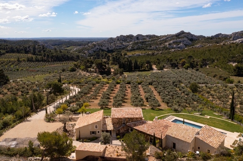 Villa Sublimes Alpilles - Location villa de luxe - Provence / Cote d Azur / Mediterran. - ChicVillas - 2