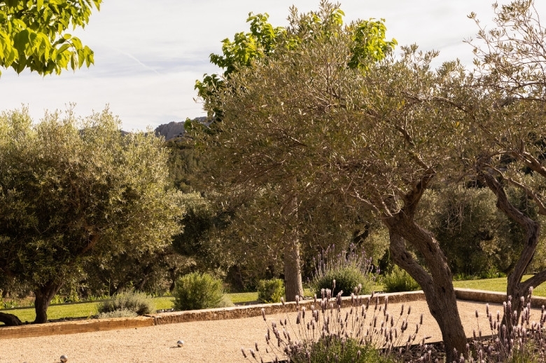 Villa Sublimes Alpilles - Location villa de luxe - Provence / Cote d Azur / Mediterran. - ChicVillas - 31