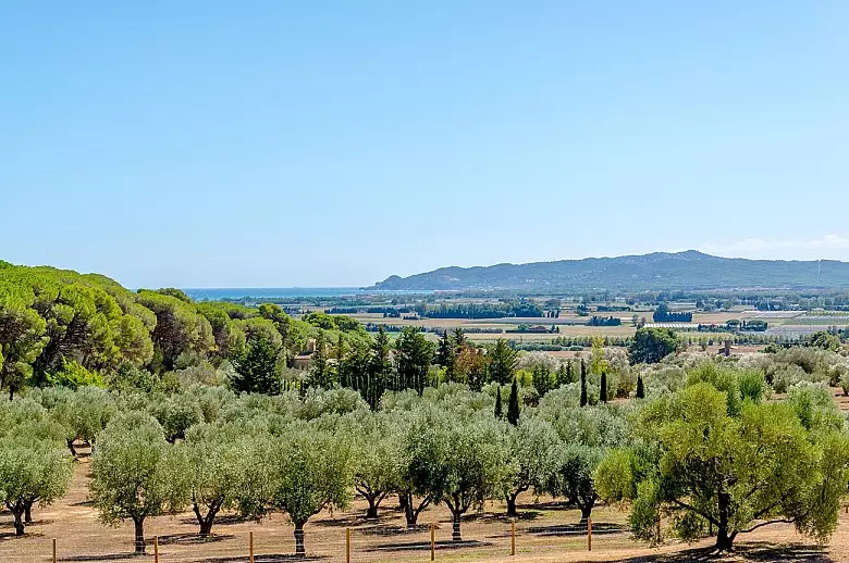 Beautiful Costa Brava - Location villa de luxe - Catalogne - ChicVillas - 7