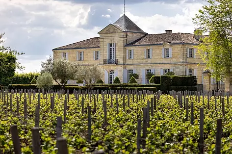Rent a castle near Bordeaux for a luxury experience | ChicVillas