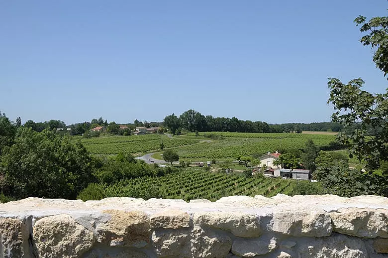 Chateau Wine and Design - Luxury villa rental - Aquitaine and Basque Country - ChicVillas - 38