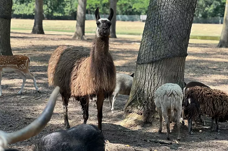 Elegance Languedoc - Luxury villa rental - Provence and the Cote d Azur - ChicVillas - 36