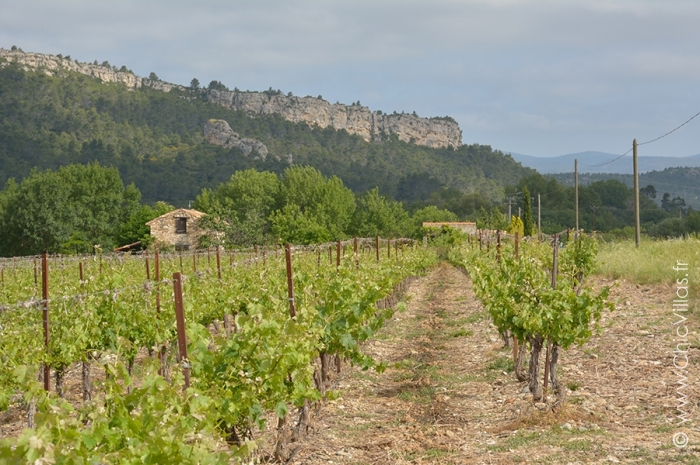 Le Chateau Millenaire - Location villa de luxe - Provence / Cote d Azur / Mediterran. - ChicVillas - 20