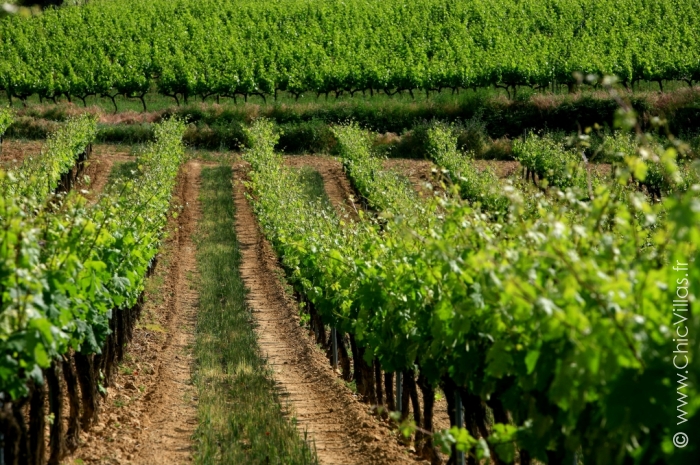Luxury  Luberon - Luxury villa rental - Provence and the Cote d Azur - ChicVillas - 34