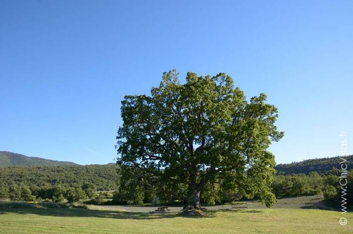 Paradis en Luberon - Location villa de luxe - Provence / Cote d Azur / Mediterran. - ChicVillas - 23