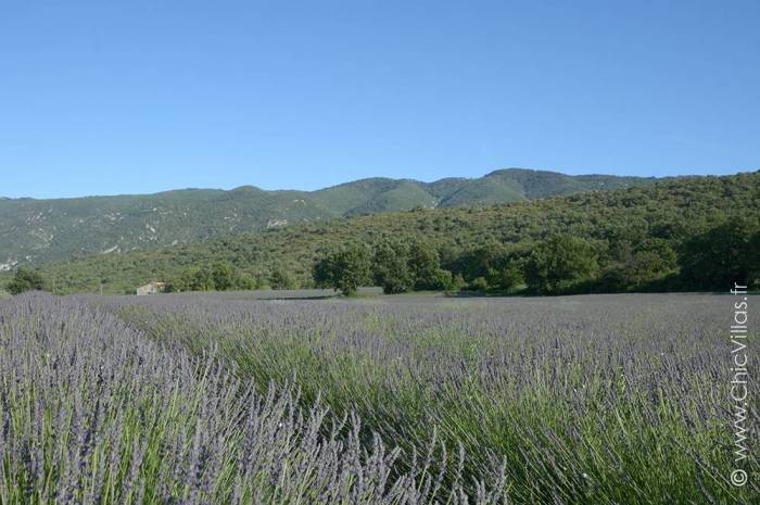 Paradis en Luberon - Location villa de luxe - Provence / Cote d Azur / Mediterran. - ChicVillas - 26