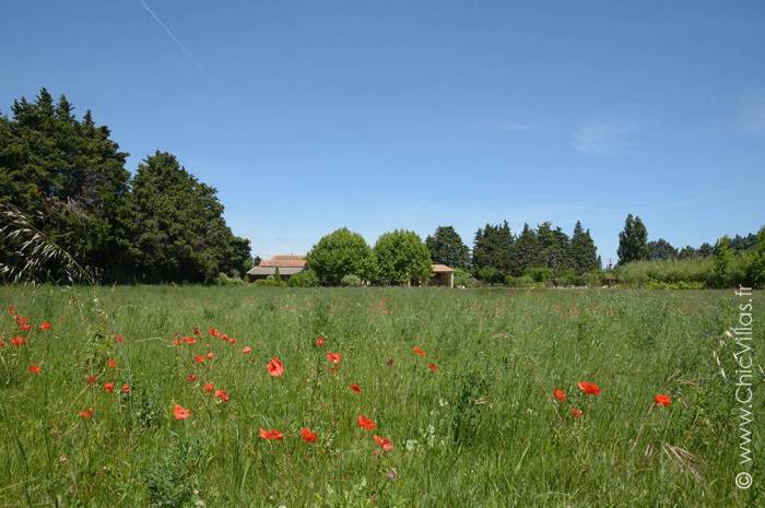 Provence Dream - Location villa de luxe - Provence / Cote d Azur / Mediterran. - ChicVillas - 40
